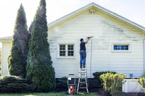 Best Driveway Pressure Washing  in Pitman, NJ